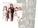 stevie nicks wallpaper february 2012