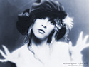 stevie nicks wallpaper july 2012